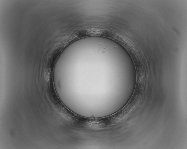 X0000112170315200908211432