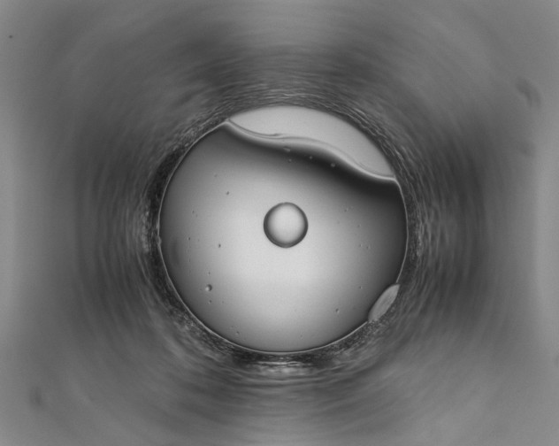 X0000112170316200908211432