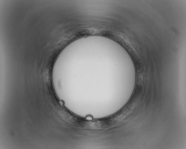 X0000112170317200908211432