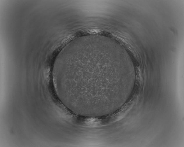 X0000112170319200908211432