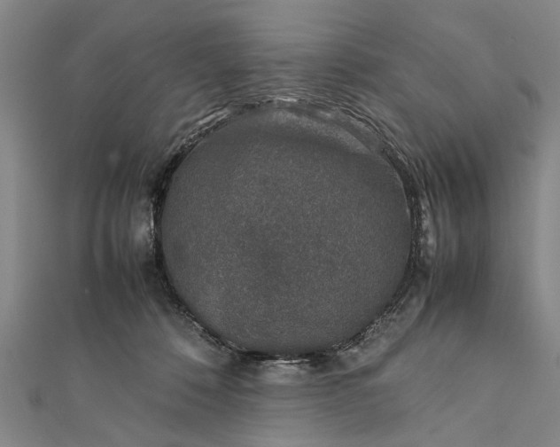 X0000112170320200908211432