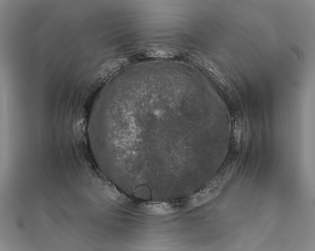 X0000112170322200908211432