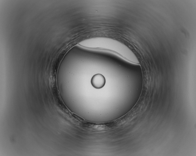 X0000112170324200908211432