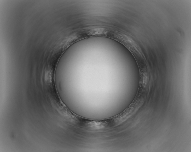 X0000112170326200908211432