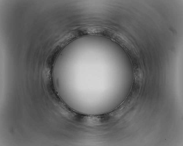 X0000112170327200908211432