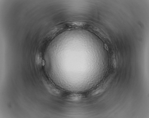 X0000112170328200908211432