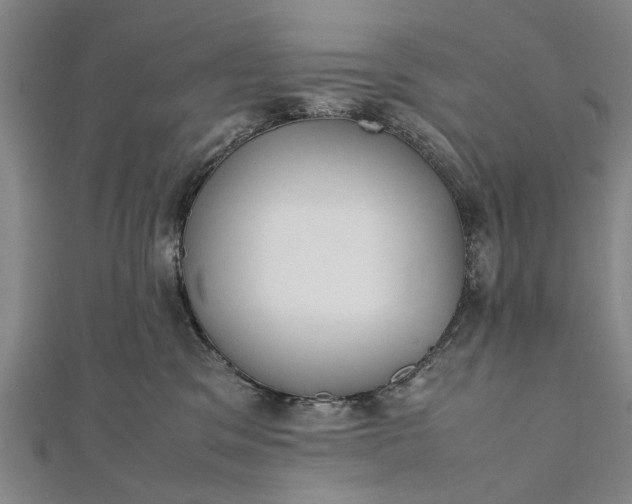 X0000112170329200908211432