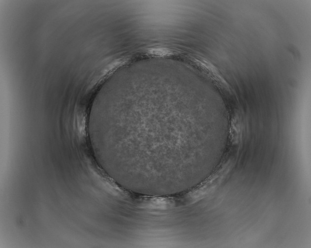 X0000112170330200908211432