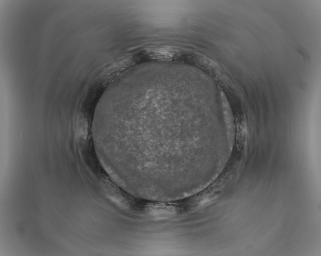 X0000112170331200908211432