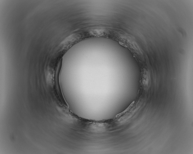 X0000112170332200908211431