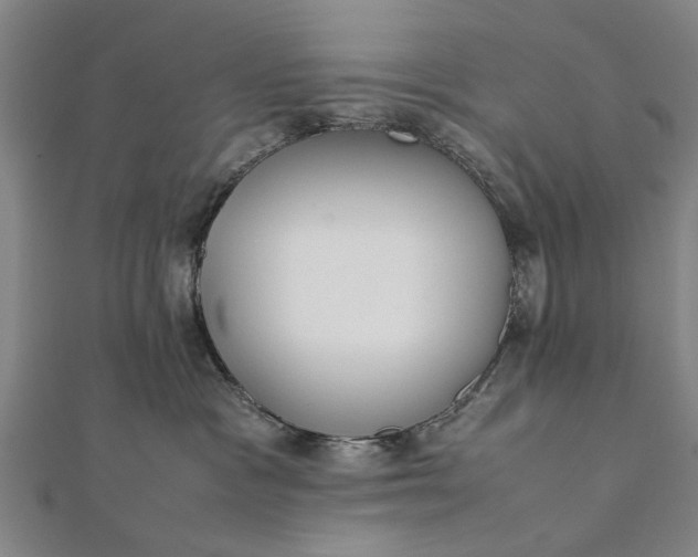 X0000112170333200908211431