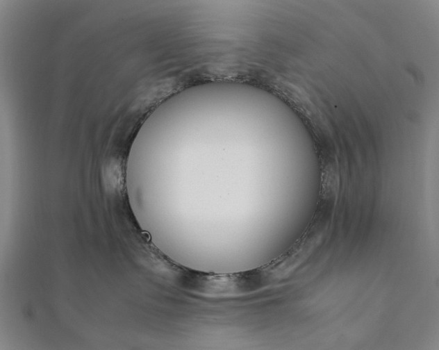 X0000112170335200908211431