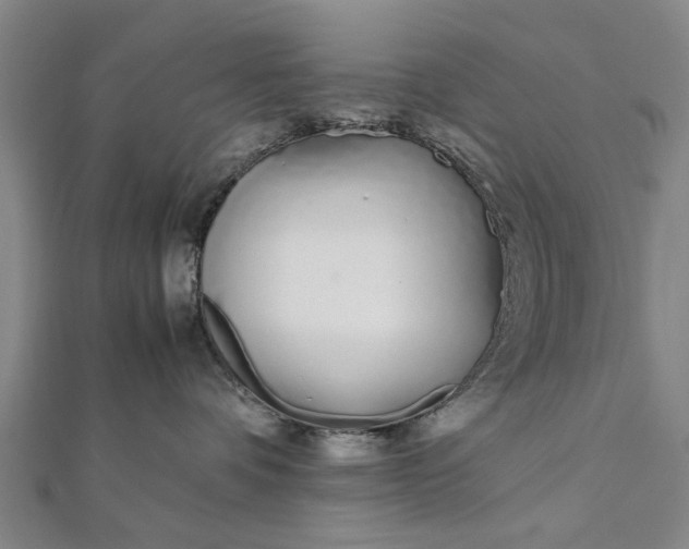 X0000112170336200908211431