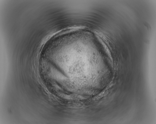 X0000112170337200908211431