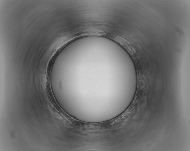 X0000112170338200908211431