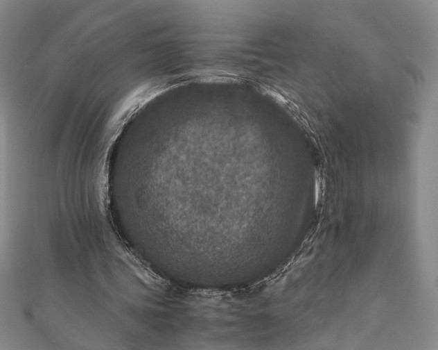 X0000112170339200908211431