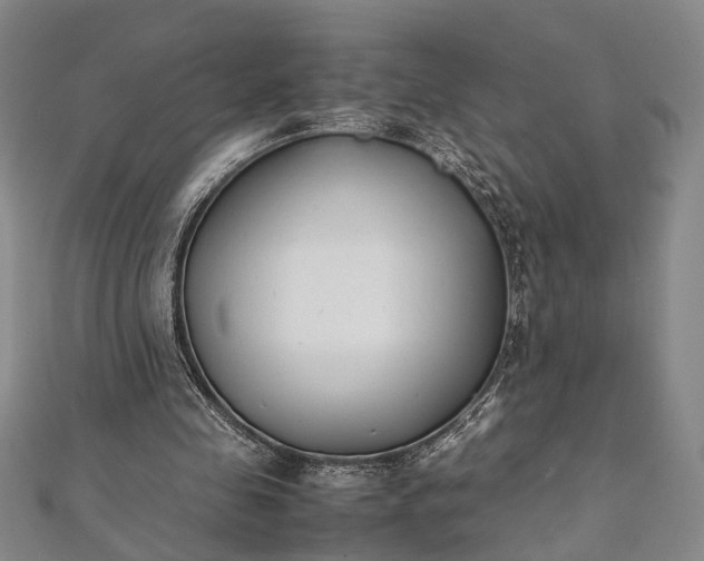 X0000112170341200908211431