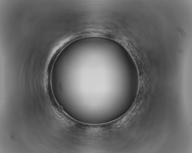 X0000112170342200908211431