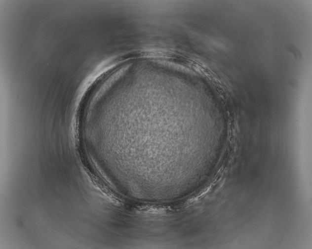 X0000112170343200908211431