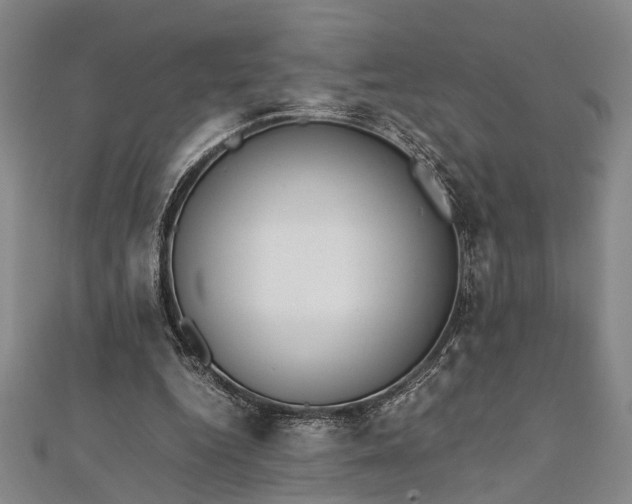 X0000112170344200908211431