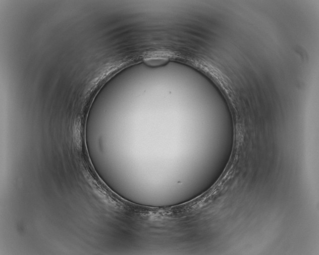 X0000112170345200908211431