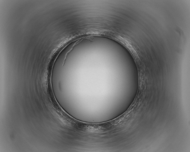 X0000112170346200908211431