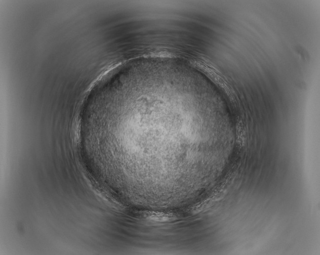 X0000112170347200908211431