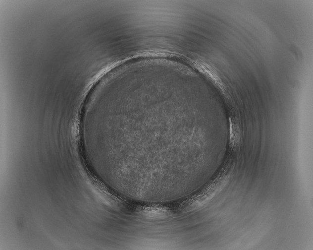 X0000112170348200908211431