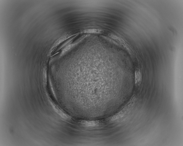 X0000112170349200908211431