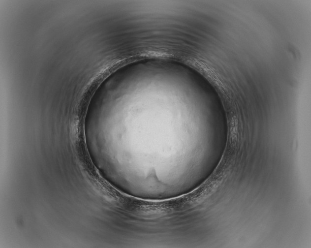 X0000112170351200908211431