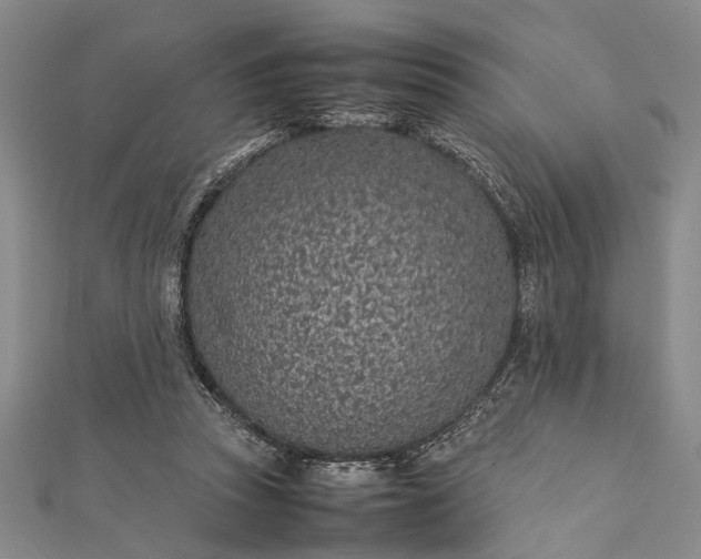 X0000112170353200908211431