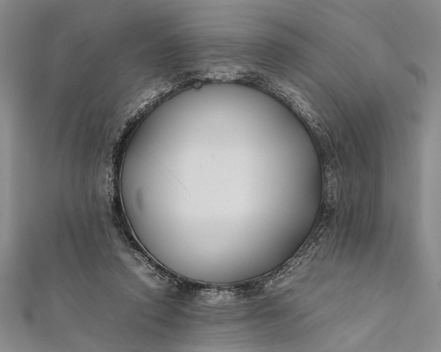 X0000112170354200908211431