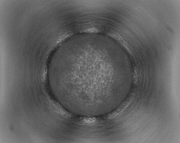 X0000112170355200908211431