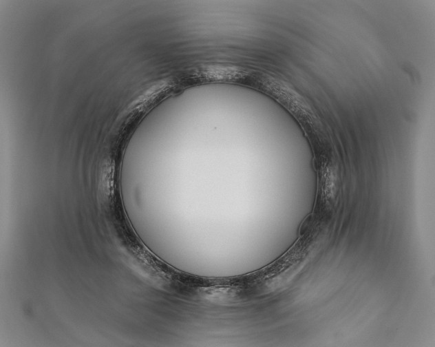 X0000112170356200908211431