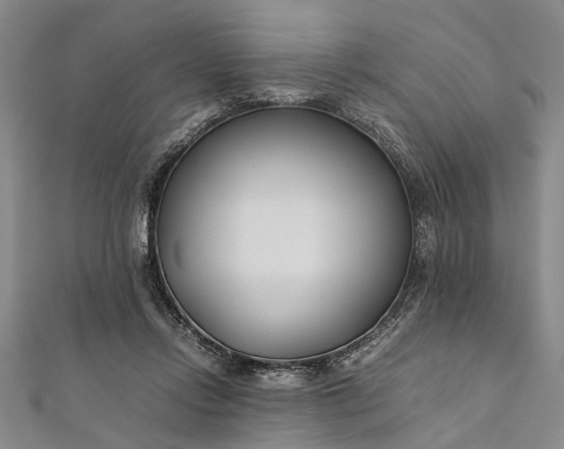 X0000112170358200908211431