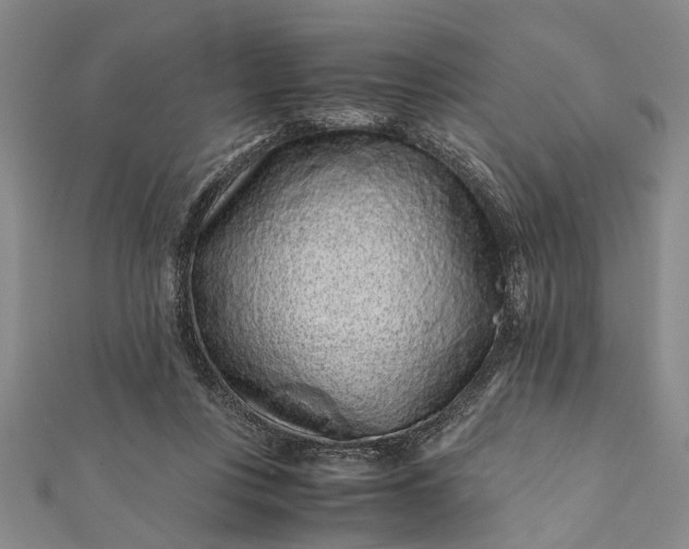 X0000112170359200908211431