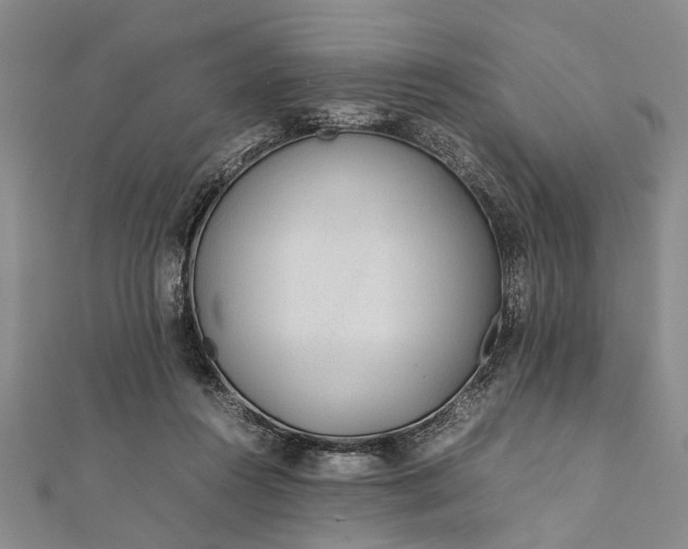 X0000112170360200908211431