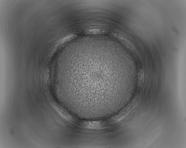 X0000112170361200908211431