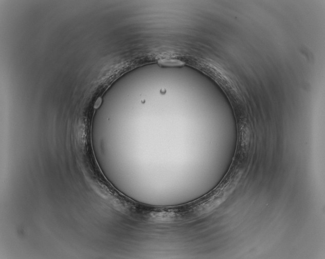 X0000112170362200908211431