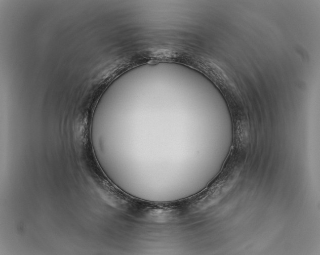 X0000112170364200908211431