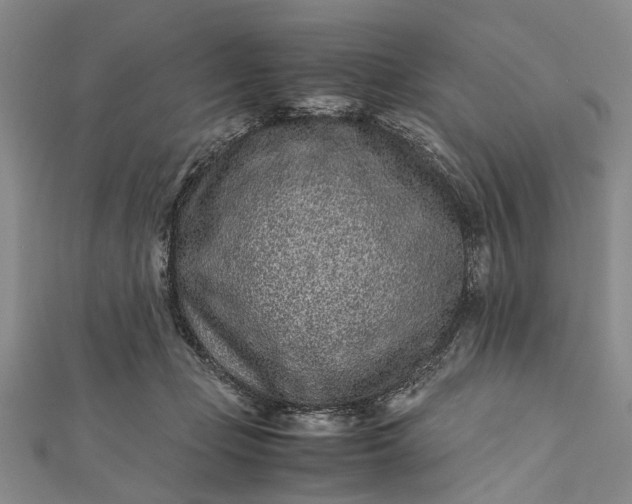 X0000112170365200908211431