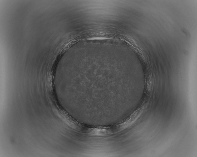 X0000112170366200908211431