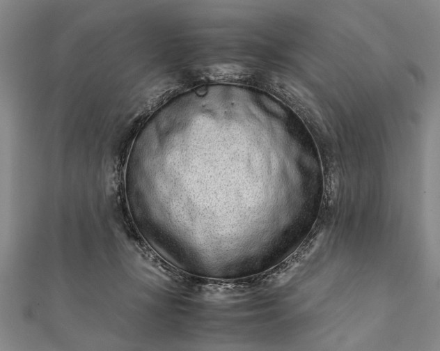 X0000112170367200908211431