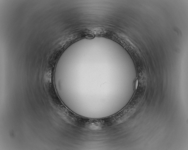 X0000112170368200908211431