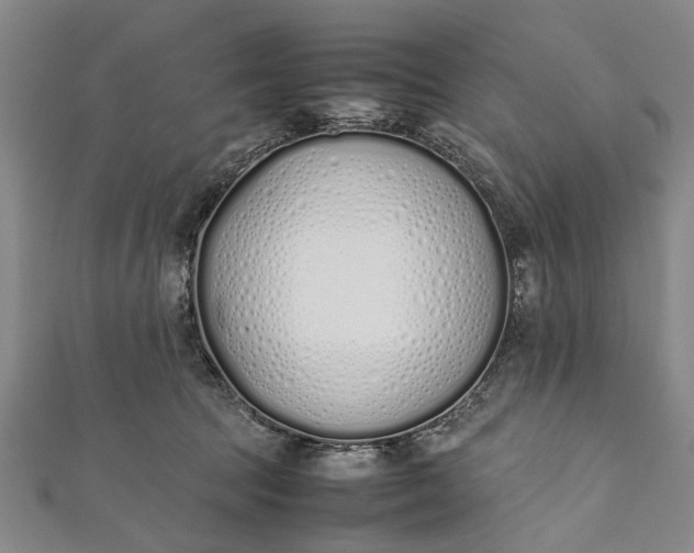 X0000112170369200908211431