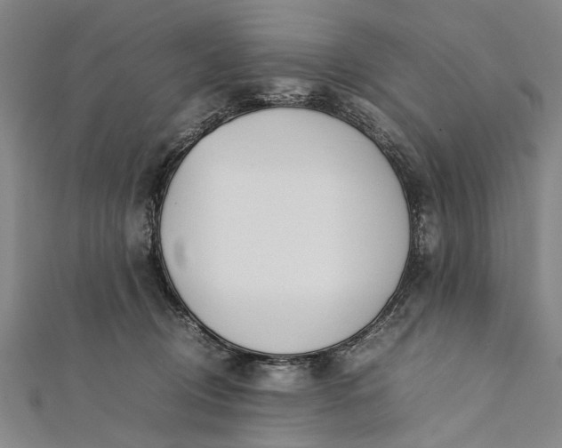 X0000112170370200908211431