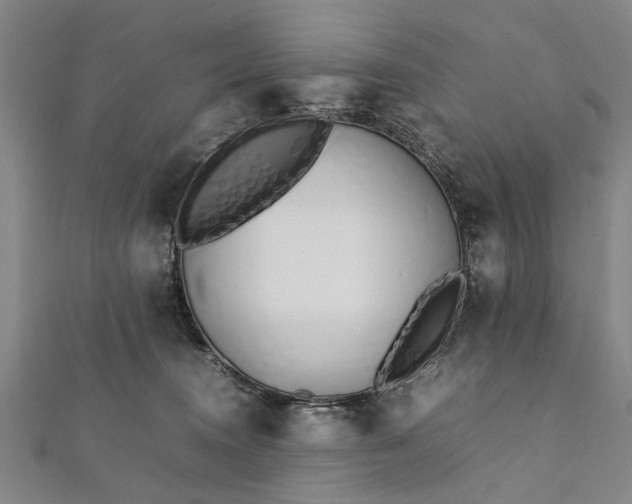 X0000112170372200908211431