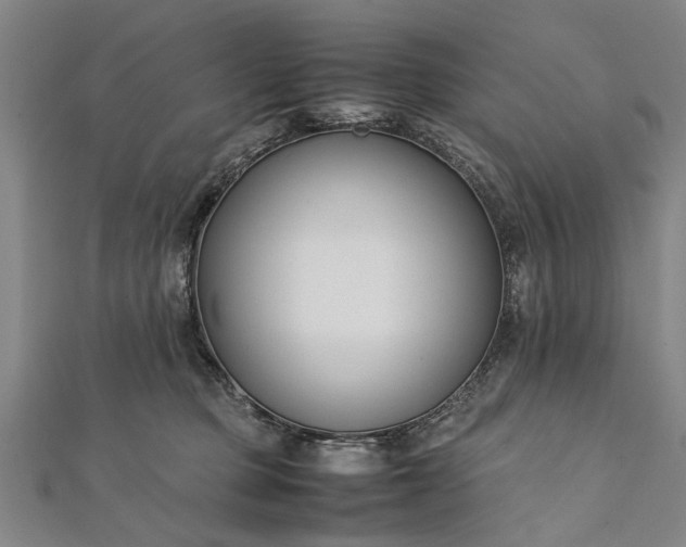 X0000112170373200908211431