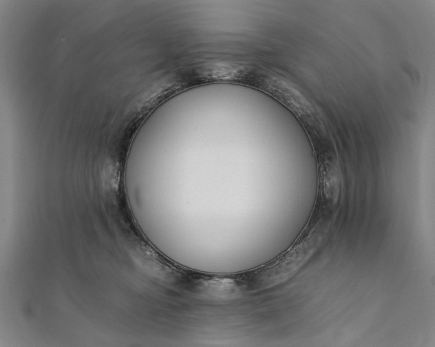 X0000112170374200908211431