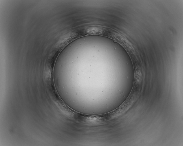 X0000112170375200908211431